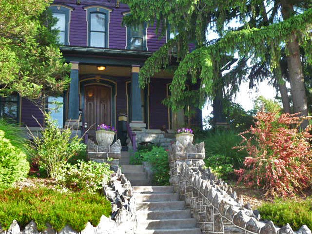 Amethyst Inn Adamstown 객실 사진