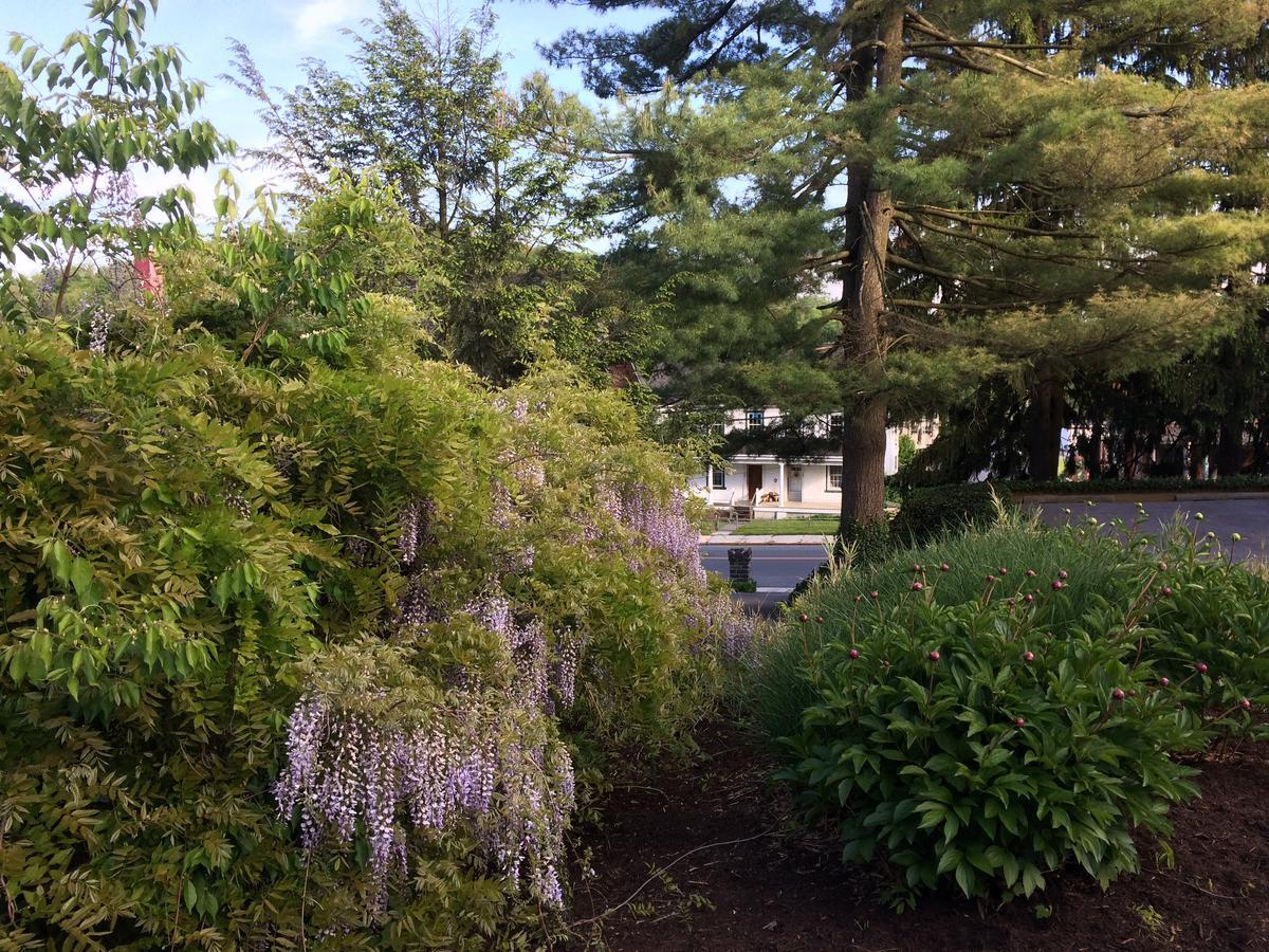 Amethyst Inn Adamstown 외부 사진