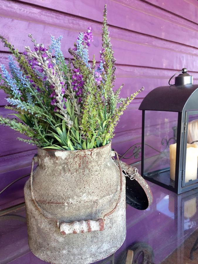 Amethyst Inn Adamstown 외부 사진